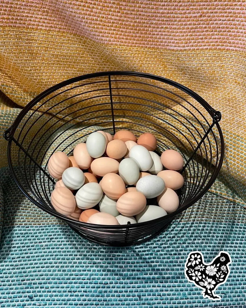 Eggs