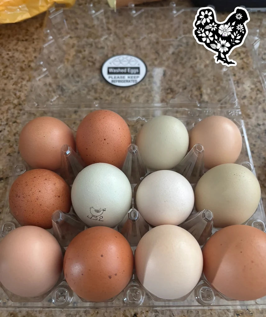 Eggs